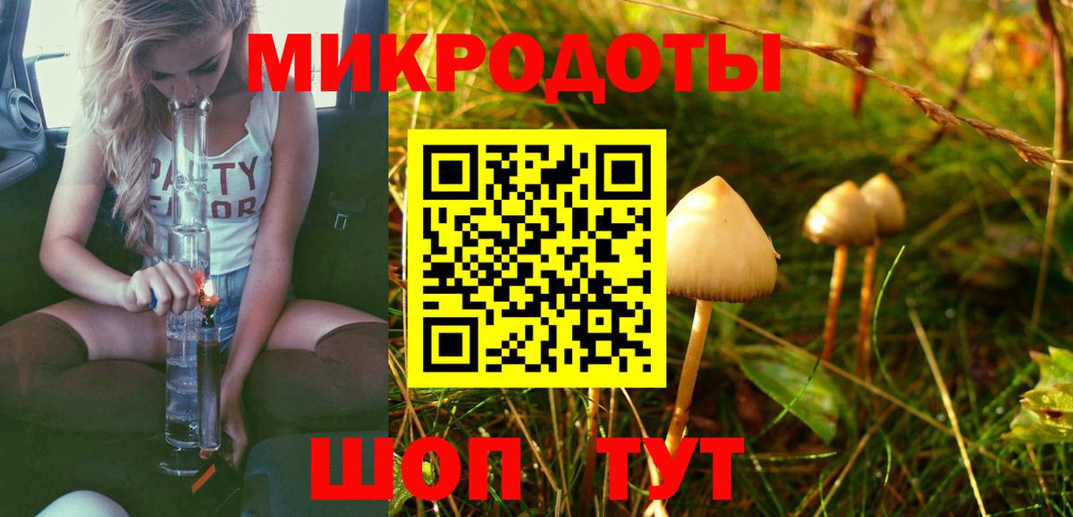 Ярославль  Псилоцибиновые грибы MAGIC MUSHROOMS  Вход с VPN 